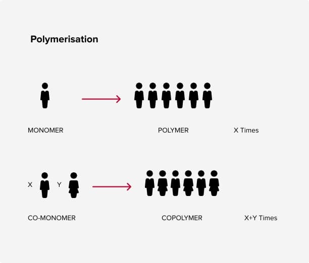 Polymer graph